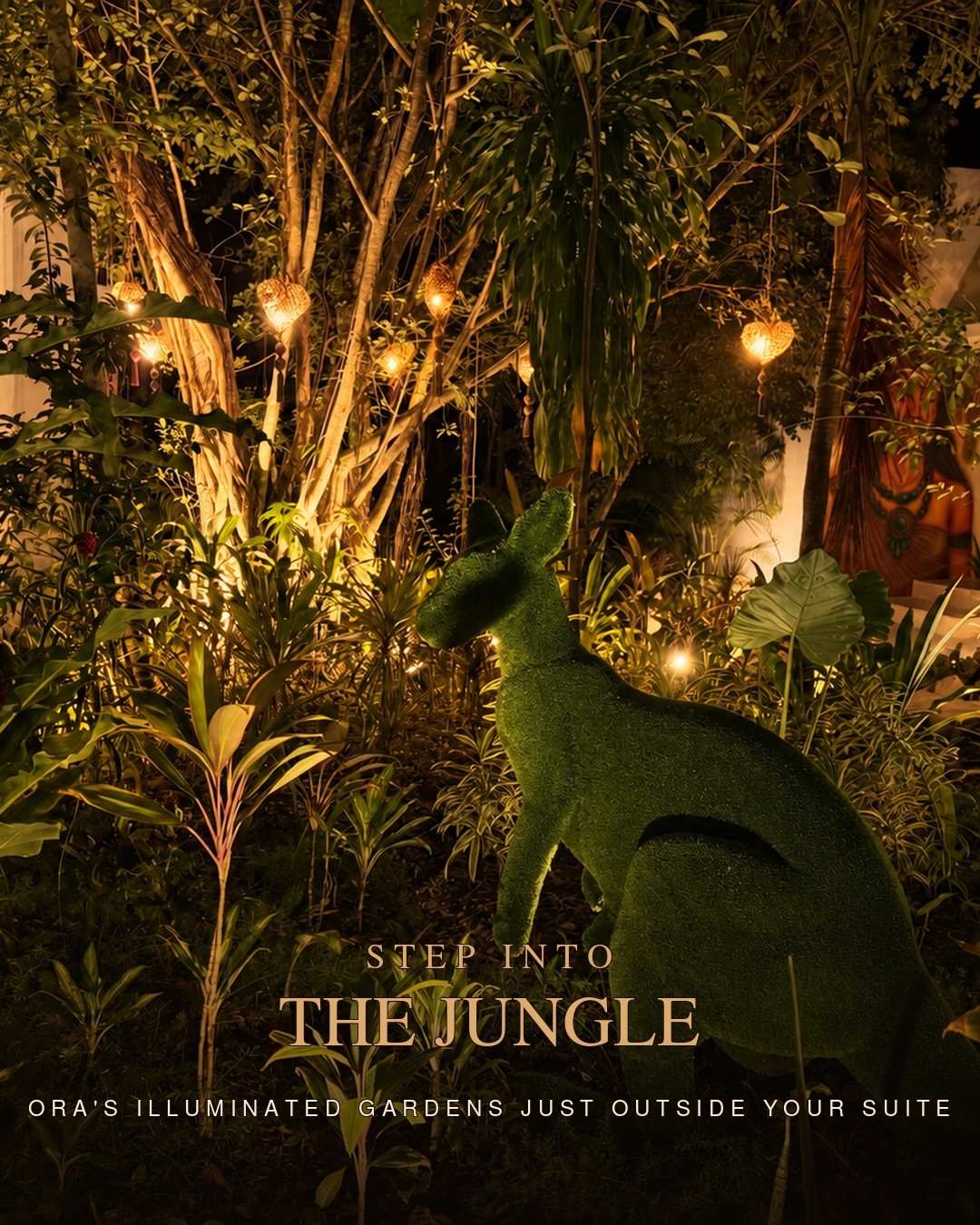 Illuminated jungle garden